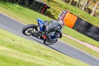 Oulton-Park-14th-March-2020;PJ-Motorsport-Photography-2020;anglesey;brands-hatch;cadwell-park;croft;donington-park;enduro-digital-images;event-digital-images;eventdigitalimages;mallory;no-limits;oulton-park;peter-wileman-photography;racing-digital-images;silverstone;snetterton;trackday-digital-images;trackday-photos;vmcc-banbury-run;welsh-2-day-enduro